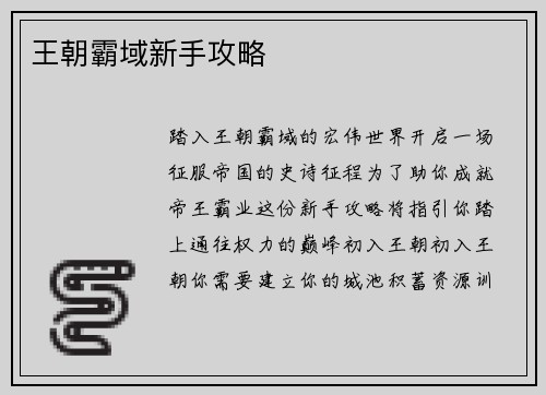 王朝霸域新手攻略